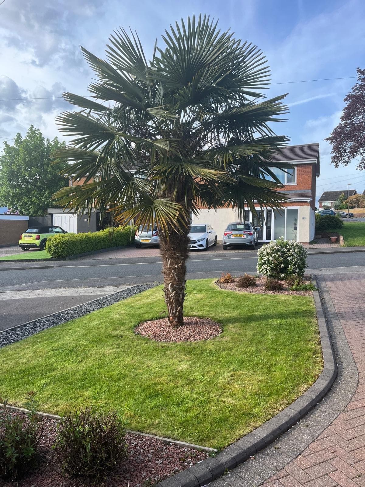 A tidy front garden with a clipped lawn, gravel border and mature planting