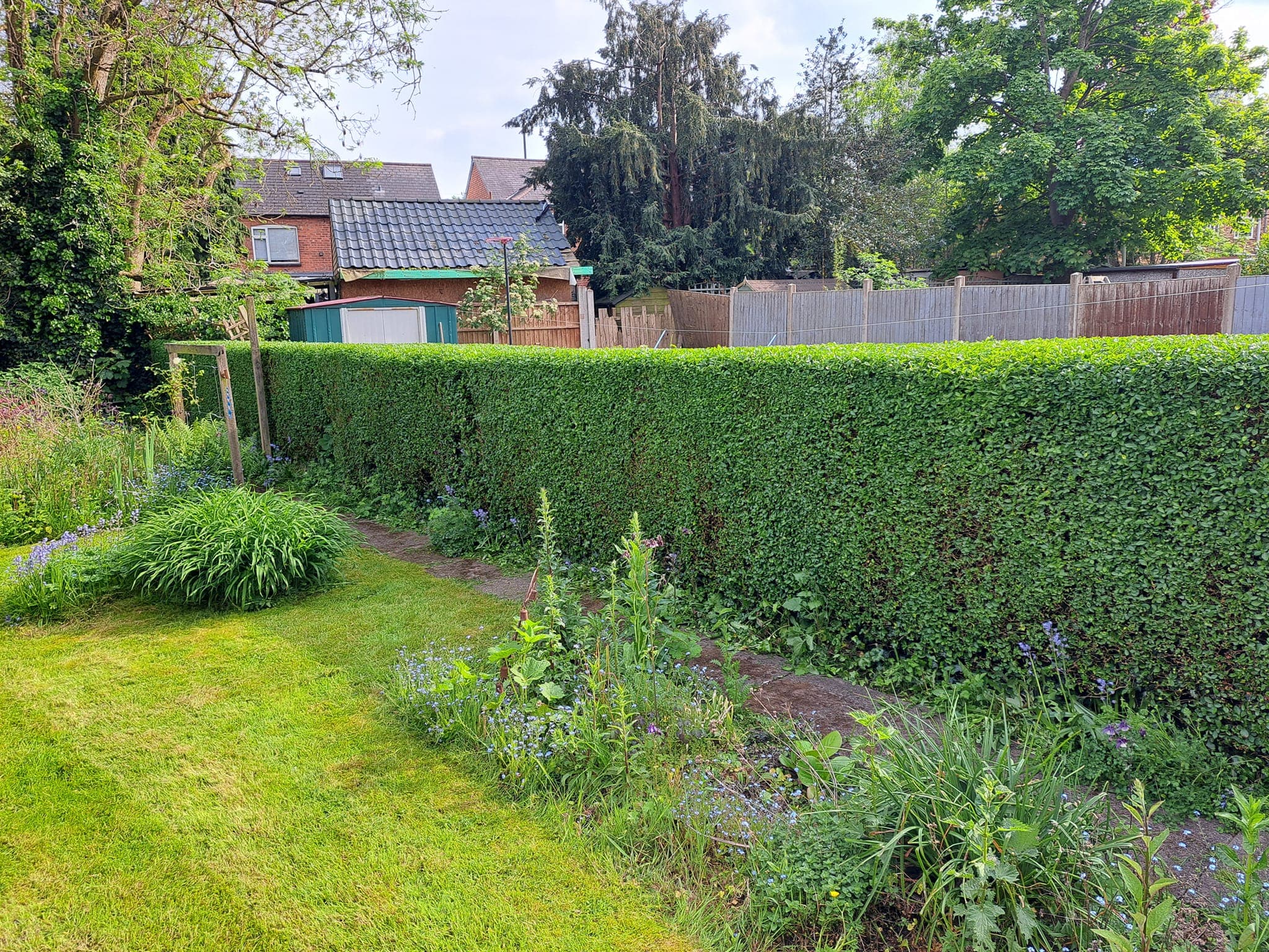 A garden with a trimmed boundary hedge, lawn and planted border