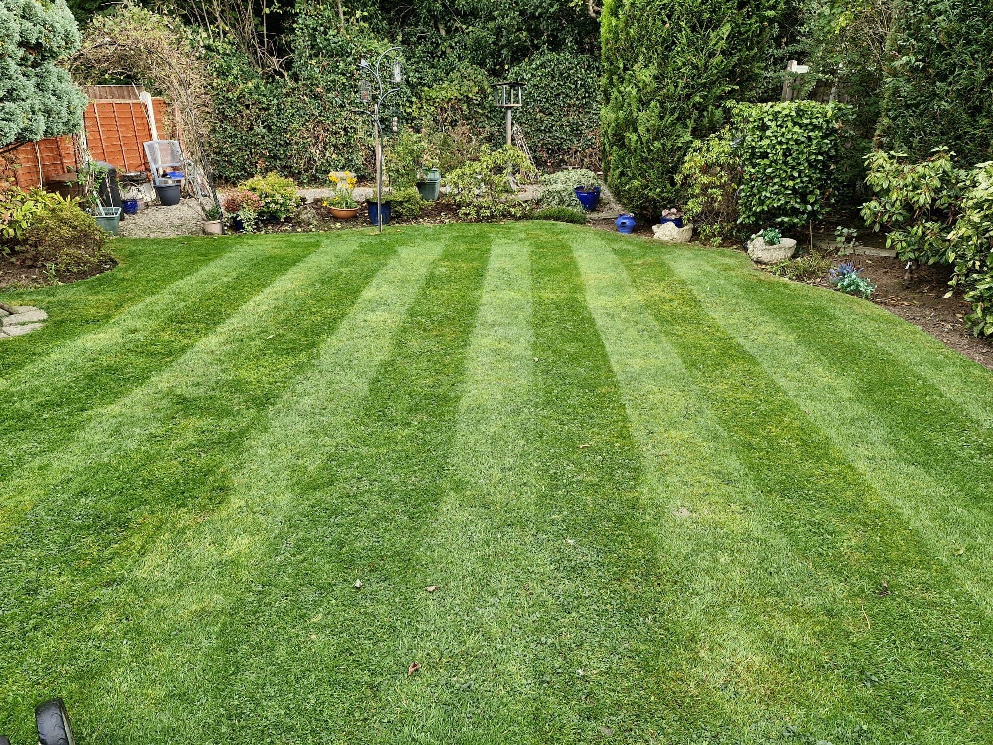 A lawn mown into clean stripes, edged against planted borders