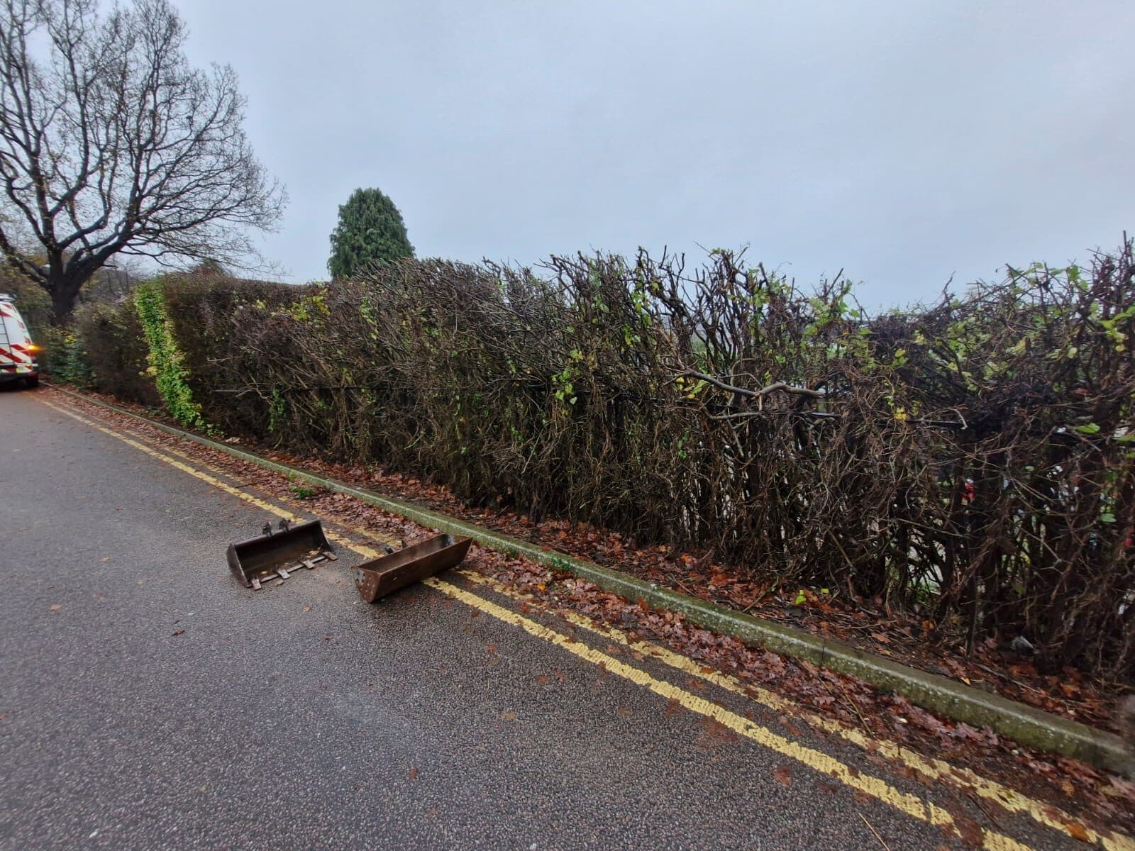 A long roadside hedge cut back to a neat line along a pavement