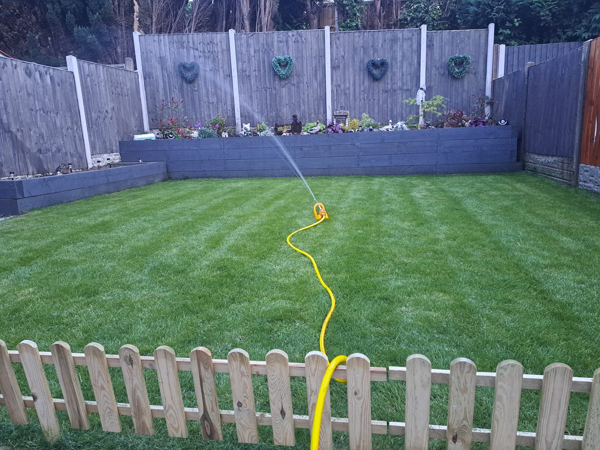 Sprinkler on fresh grass image by D.J.W